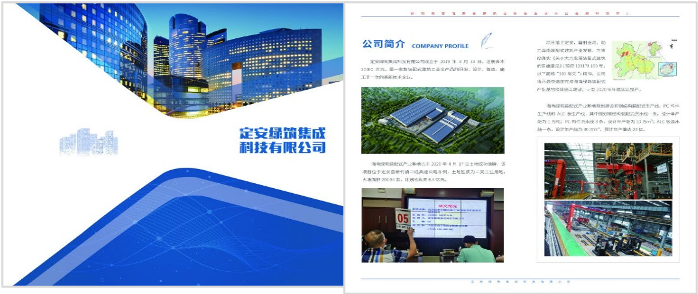 手提袋、折页和海报设计 案例展示 第2张